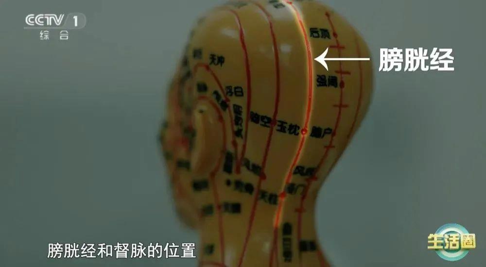 健康问题 护发与健康小贴士快收藏冰球突破网站不同位置白发反映不同(图4)